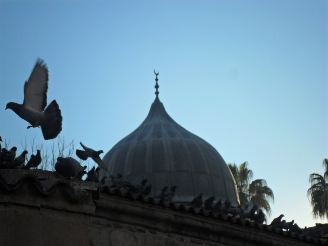 Meczet Ulu Camii w Adanie - autorką zdjęcia jest Magdalena Wanta