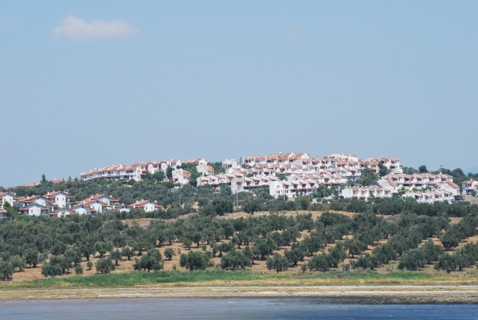 Wzgórze z osiedlem domków, porośnięte gajem oliwnym w okolicach Gömeç