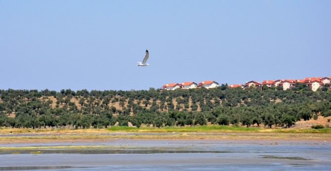 Rozlewiska w okolicach Gömeç