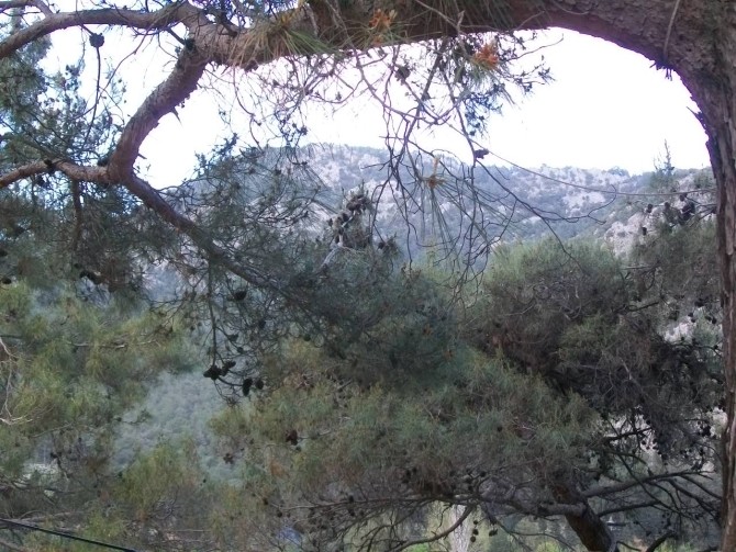 Krajobraz w okolicach Ulupınar