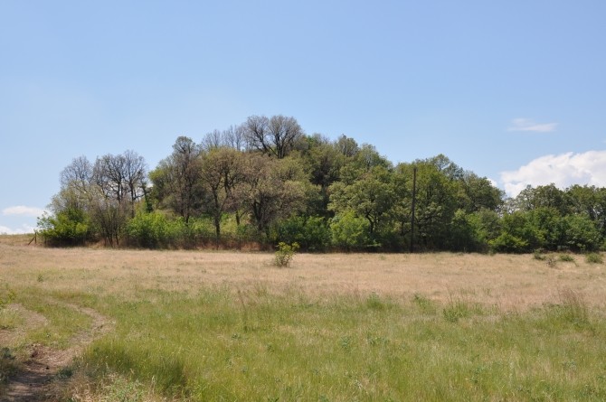 Tracki kopiec we wsi Aleksandrovo