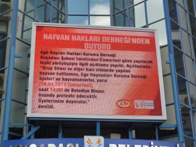 Wezwanie do protestu na budynku urzędu miasta