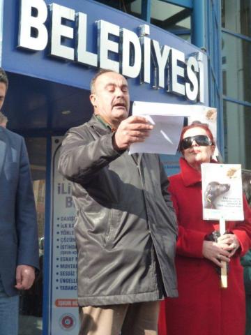 Ten człowiek stracił 5 kotów